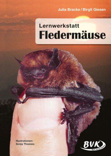 Julia Bracke - Lernwerkstatt Fledermäuse 3.-4. Klasse: A4-Kopiervorlagen. 3.-4. Klasse - Preis vom 10.10.2026 11:48:34 h