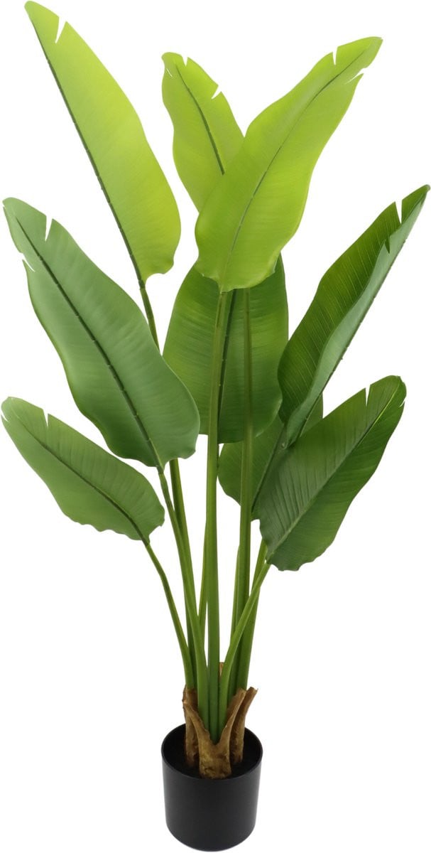 PrettyPlants Strelitzia Nicolai Kunstplant voor Binnen, Groen, Hoogte: 120 cm
