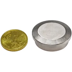 10 Büromagnete Neodym, sehr stark, Pack mit 10 Stück 29 mm, Neodym, Stahl, silber
