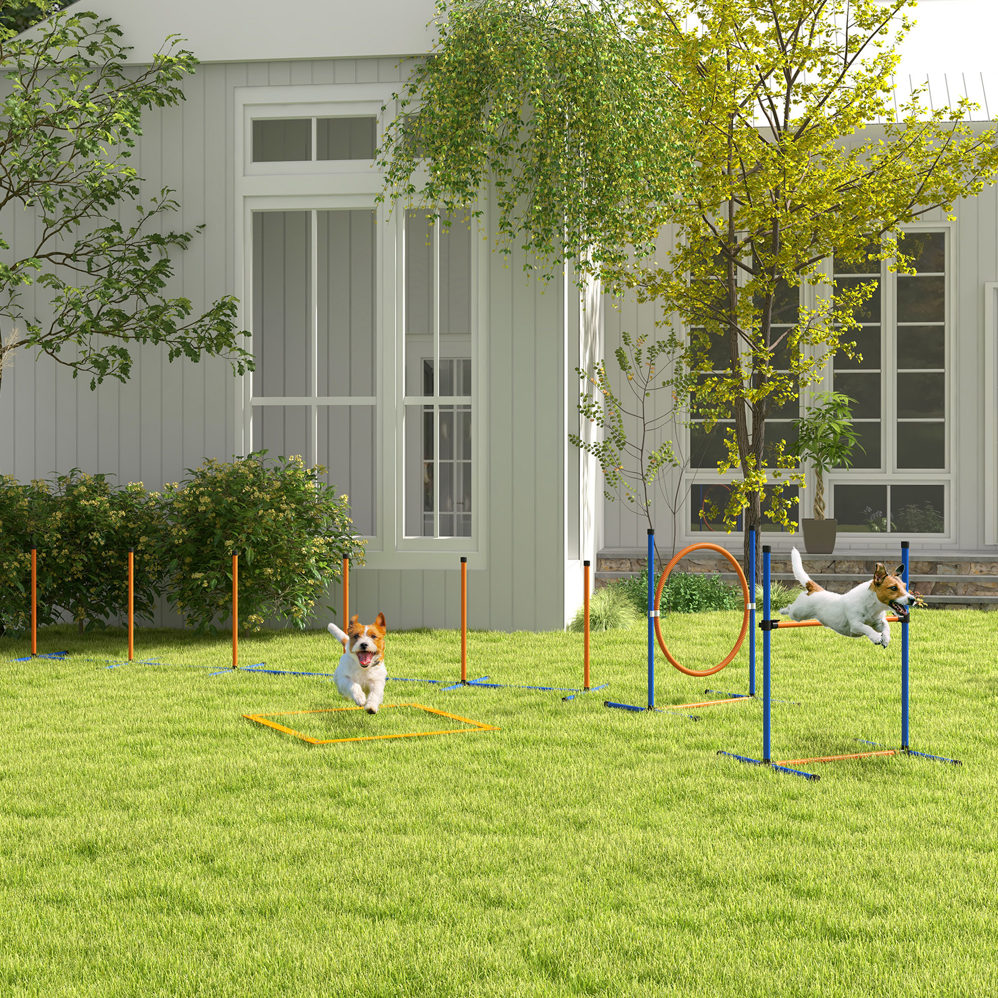 Pawhut Set Agility Dog con Anello e Barra per Salto, Paletti Slalom, Fischietto, Palline e Borsa, Arancione    Aosom Italy