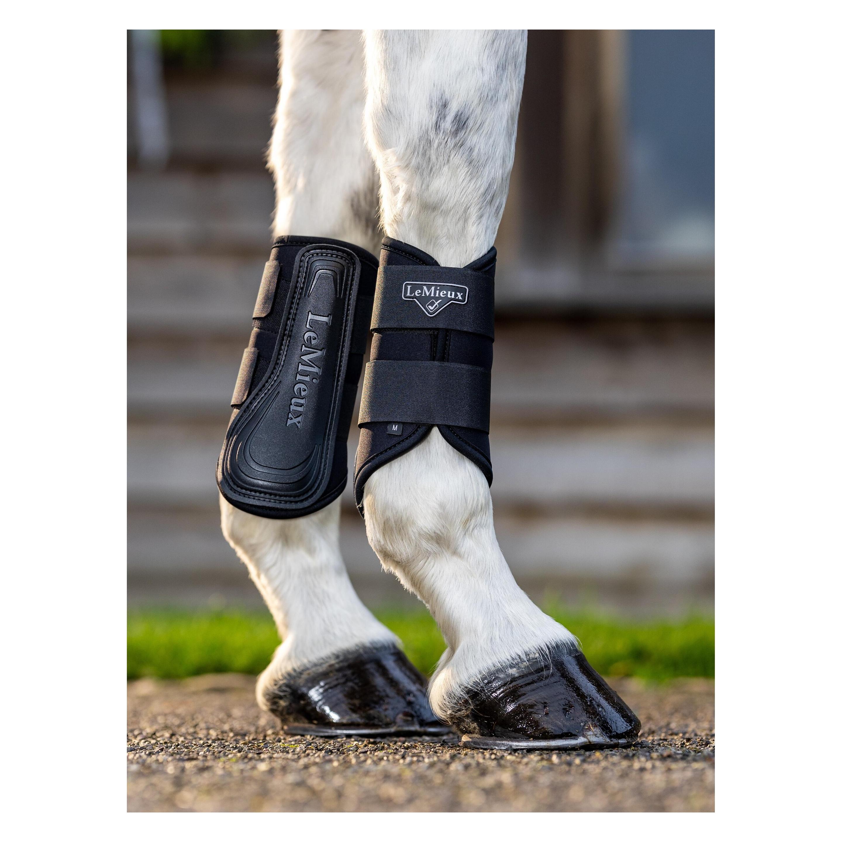 LeMieux Grafter (M) (IT04916004)