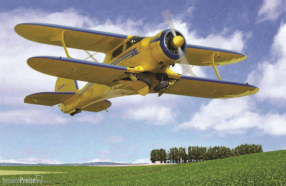 Roden 446