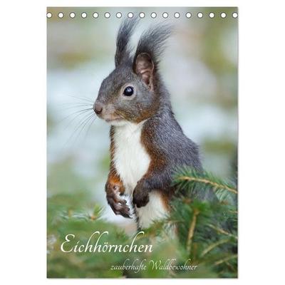 Eichhörnchen - zauberhafte Waldbewohner (Tischkalender 2027 DIN A5 hoch), CALVENDO Monatskalender
