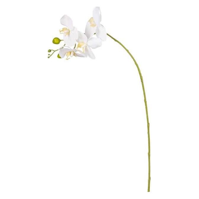 DPI Kunstblume - Orchidee - ca. 66 cm - creme (66 cm) (60159-05)
