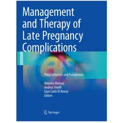 Management and Therapy of Late Pregnancy Complications, Fachbücher von Gian Carlo Di Renzo, Antonio Malvasi, Andrea Tinelli