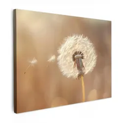 LEINWANDBILD Löwenzahn - Beige - Natur - Blume Wandbild 40x30 cm
