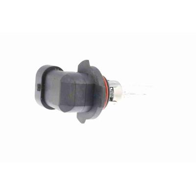 VEMO Glühlampe, Fernscheinwerfer Original Qualität V99-84-0081 Sockelglühlampe