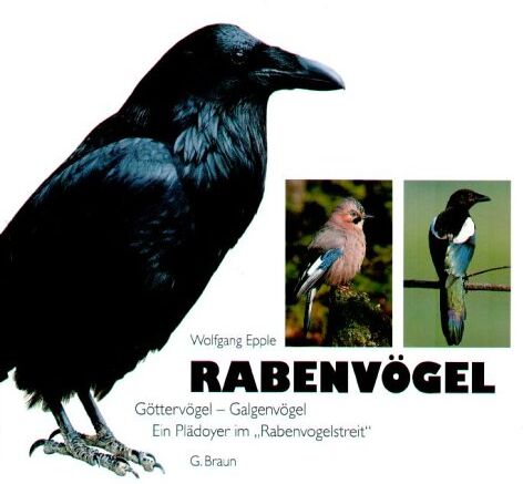 Wolfgang Epple - Rabenvögel: Göttervögel - Galgenvögel. Ein Plädoyer im Rabenvogelstreit - Preis vom 05.10.2026 03:47:11 h