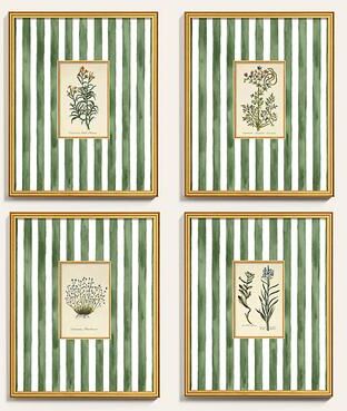 "Suzanne Kasler's John Hill British Herbal Art - Common Podded Cummin Flower, 32"" x 26"" - Ballard Designs"