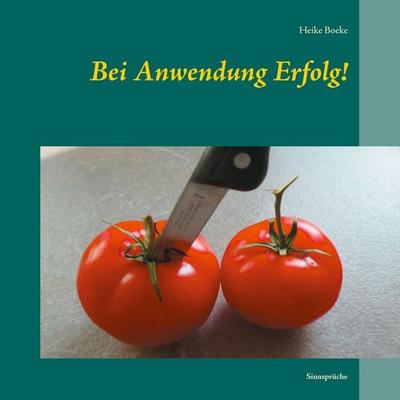 Bei Anwendung Erfolg!, Taschenbuch von Heike Boeke, BoD – Books on Demand, 978-3-7519-3759-7
