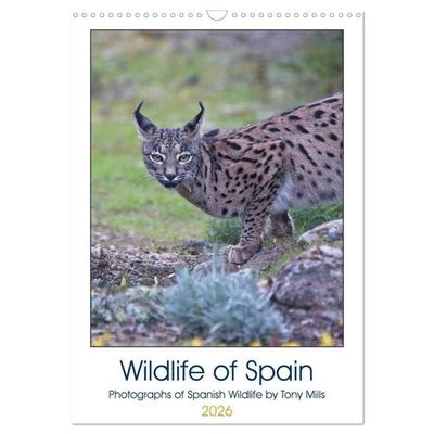 Wildlife of Spain (Wall Calendar 2026 DIN A3 portrait), CALVENDO 12 Month Wall Calendar