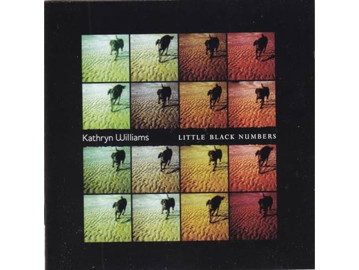Little Black Numbers
