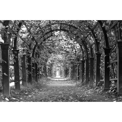 Papermoon "Garten Schwarz & Weiß"