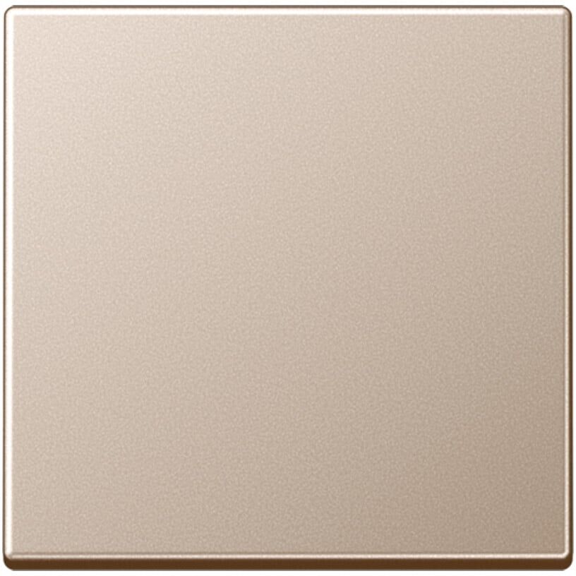 Jung Wippe champ. für Taster A 590 CH (A590CH)