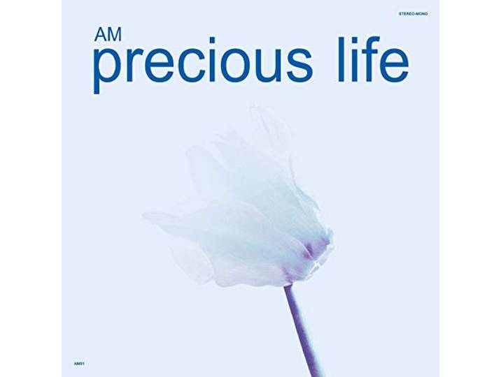 Am - Precious Life