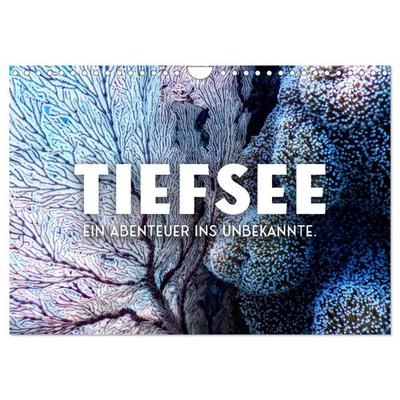 Tiefsee - Ein Abenteuer ins Unbekannte. (Wandkalender 2027 DIN A4 quer), CALVENDO Monatskalender