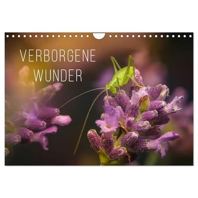 Verborgene Wunder (Wandkalender 2027 DIN A4 quer), CALVENDO Monatskalender