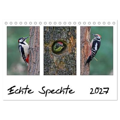 Echte Spechte (Tischkalender 2027 DIN A5 quer), CALVENDO Monatskalender