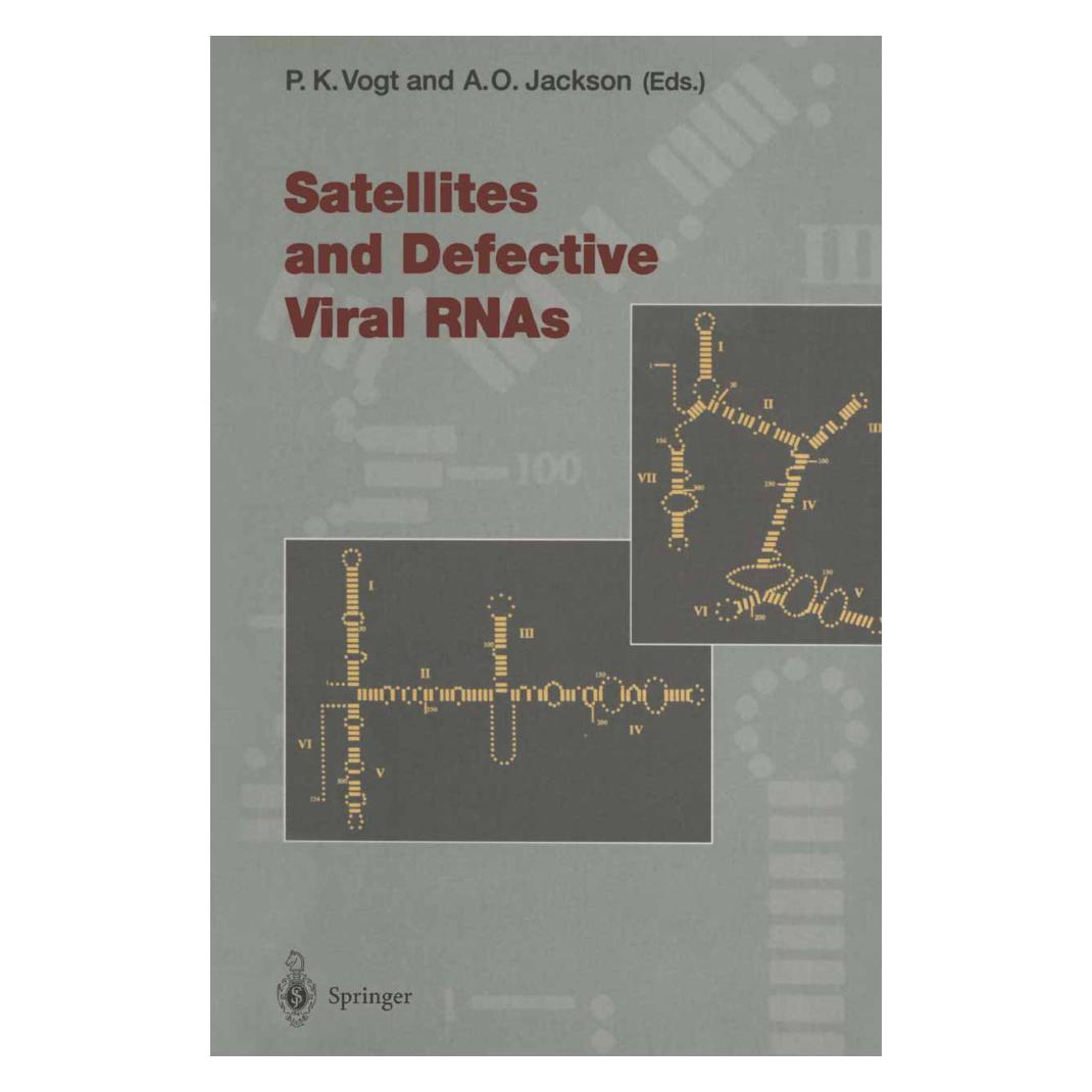 Springer Satellites and Defective Viral RNAs (Englisch, Softcover, Andrew O. Jackson, Peter K. Vogt) (55525327)