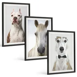 BILDER SET 3er Set - 40x60 cm Schwarzer Rahmen - Elegante Porträts von Hunden und Pferden