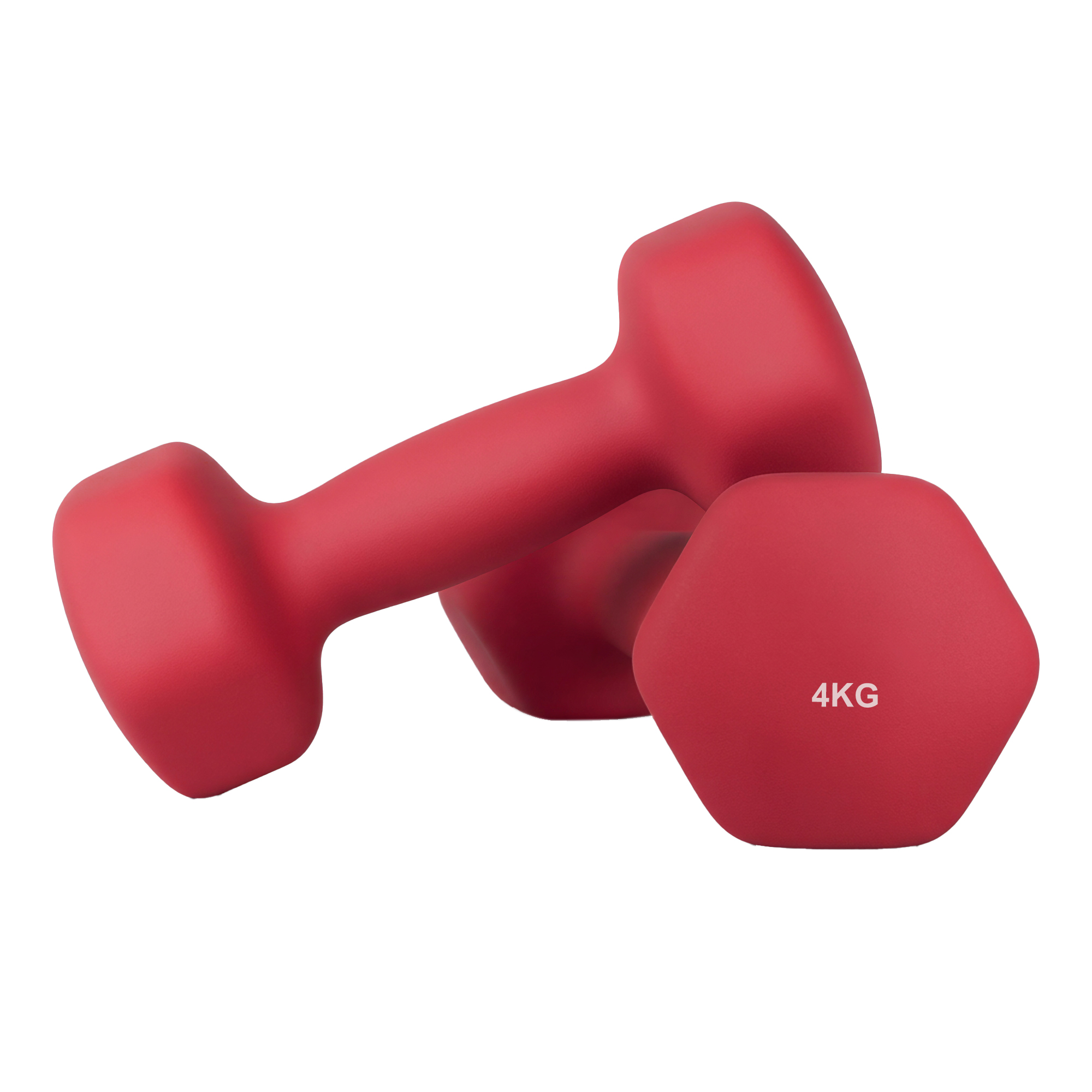 SONGMICS Kurzhanteln 2er-Set magentarot SYLB35908R01