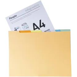 Exacompta, Mappe, Verzeichnis mit Unterteilungen für Sammelmappe A4 (A4, 10x)