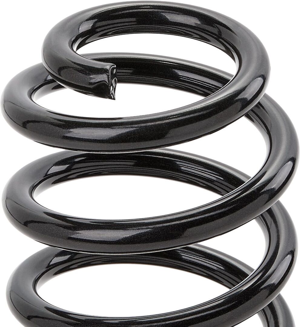 EIBACH F1541001 Coil spring