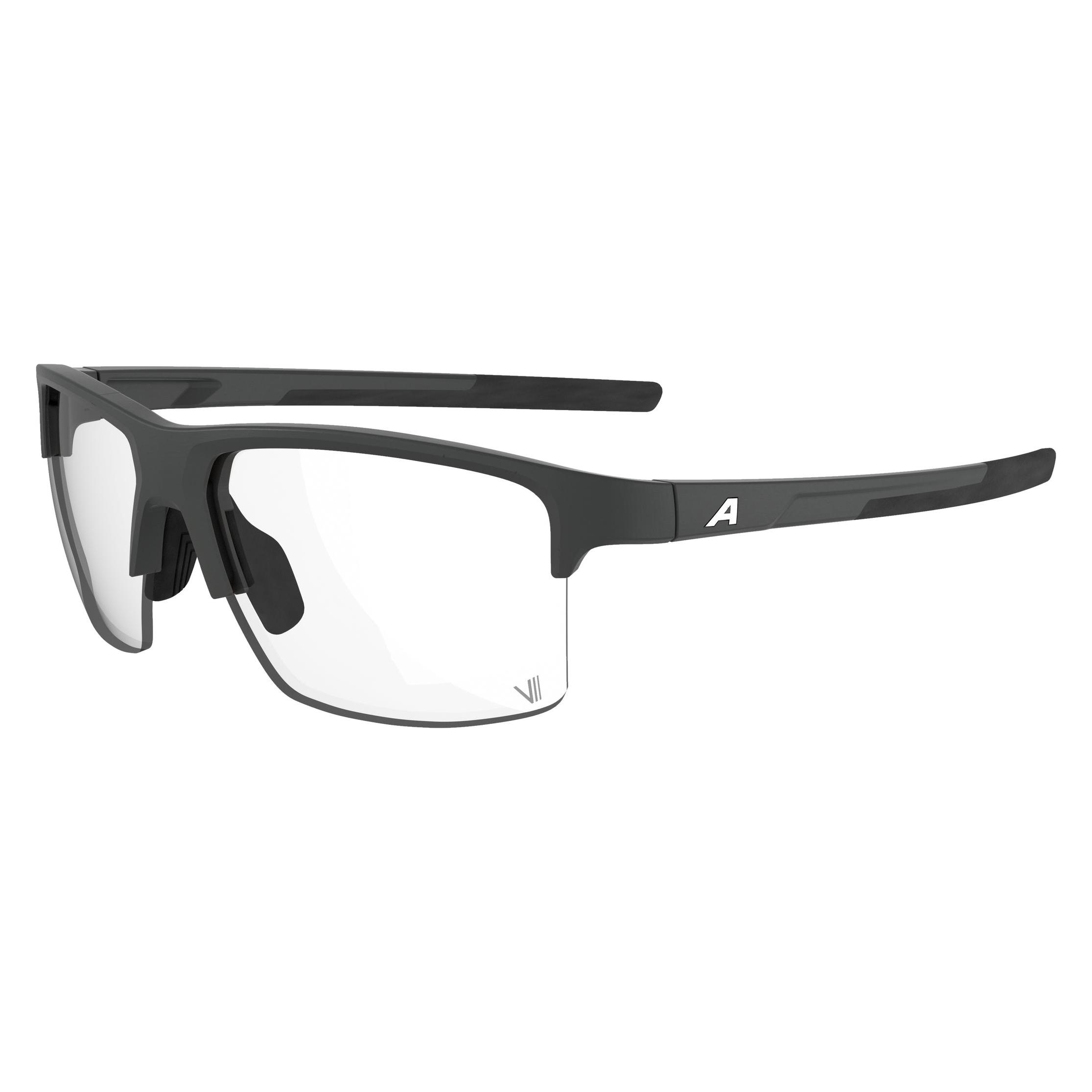 Alpina Eagle V (Midnight-grey matt) (70737604)