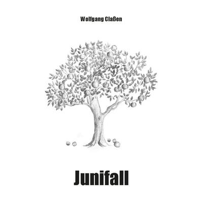 Junifall, Taschenbuch von Wolfgang Classen, Rediroma-Verlag, 978-3-9888521-3-7