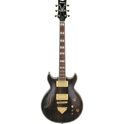 Ibanez AR520HME-NT AR Dark Natural