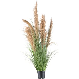 Creativ-green Kunstpflanze Natur-Schilfgras, im Topf, Höhe 110 cm