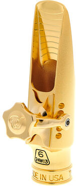 Theo Wanne Lakshmi Alto 6 Gold