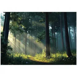 FOTOTAPETE Wald Sonne Natur Wohnzimmer Vlies Tapete 300x210