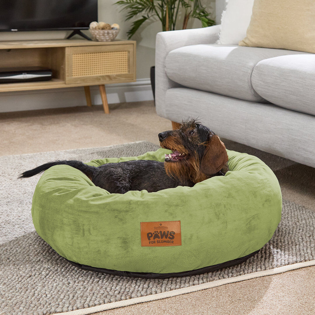 Slumberdown Paws for Slumber Donut Pet Bed Green Large (41 - 70 lbs)/Large (75cm W x 24cm D x 75cm H)