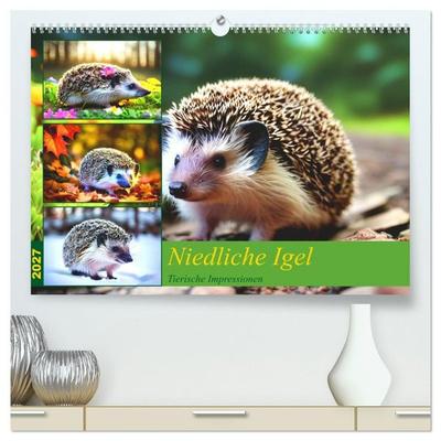 Niedliche Igel (hochwertiger Premium Wandkalender 2027 DIN A2 quer), Kunstdruck in Hochglanz