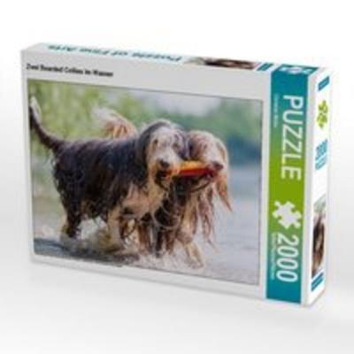 CALVENDO Puzzle Zwei Bearded Collies im Wasser 2000 Teile Puzzle quer | 2000 Teile Lege-Größe 90 × 67 cm Foto-Puzzle für glückliche Stunden