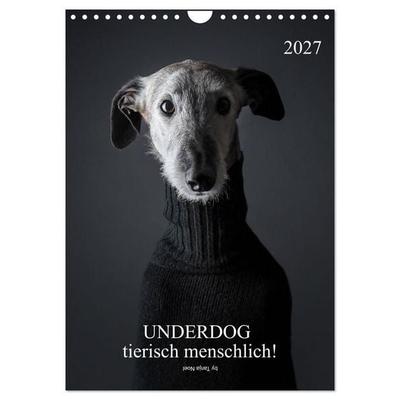 UNDERDOG - Windhundportraits (Wandkalender 2027 DIN A4 hoch), CALVENDO Monatskalender