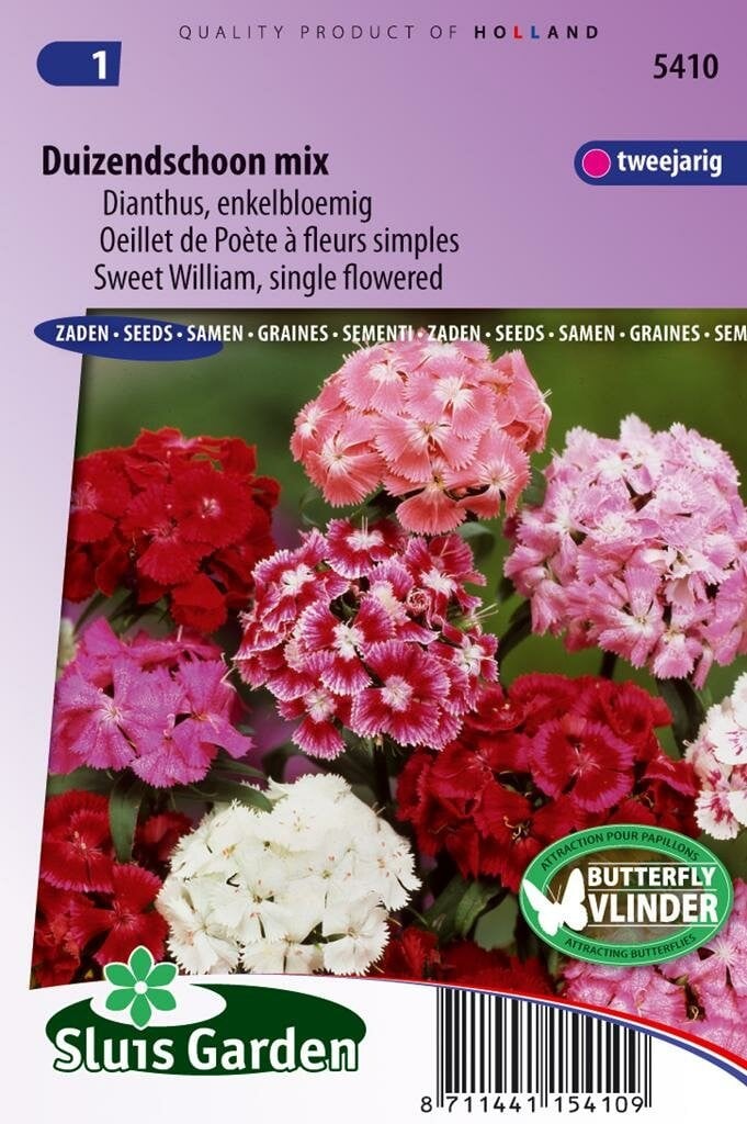 Sluis Garden Dianthus Barbatus zaden Duizendschoon Enkel
