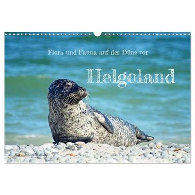 Flora und Fauna auf der Düne vor Helgoland (Wandkalender 2027 DIN A3 quer), CALVENDO Monatskalender