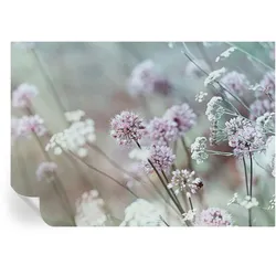 FOTOTAPETE 312x219 cm - Wildblumen