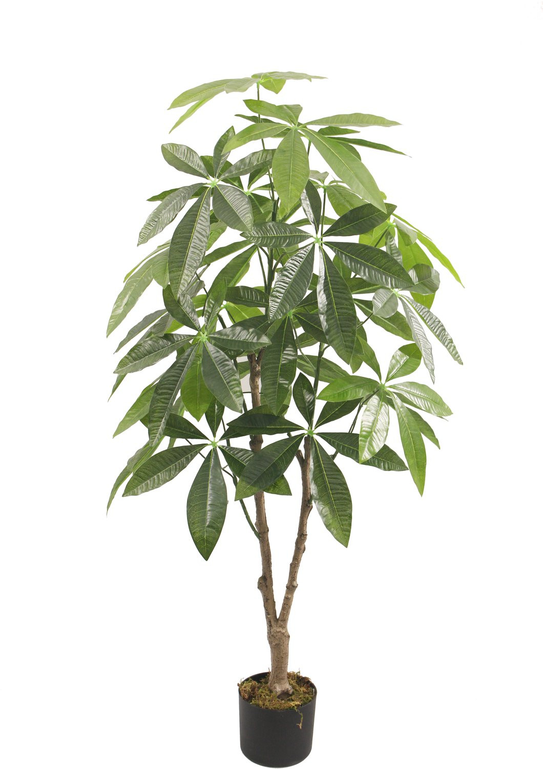 Kunstboom Fortune geluksplant 125 cm