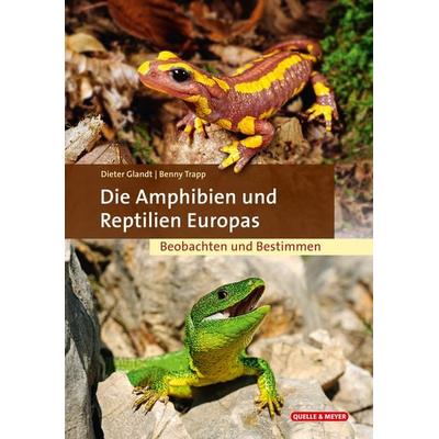 Die Amphibien und Reptilien Europas, Gebundene Ausgabe von Dieter Glandt,Benny Trapp, Quelle & Meyer, 978-3-494-01854-6