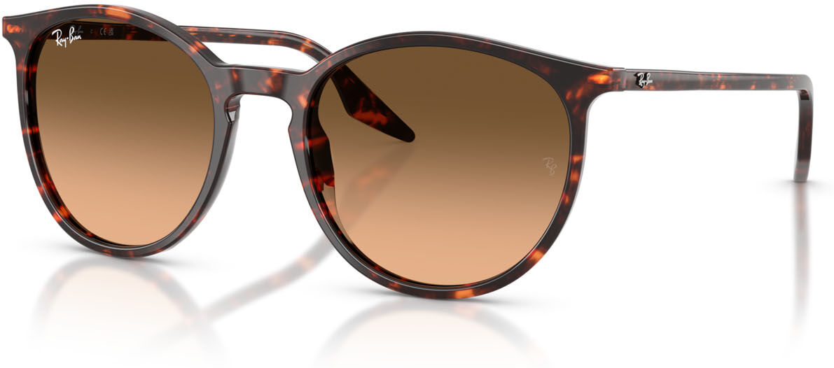 Ray Ban 2204 (14293B) Femme