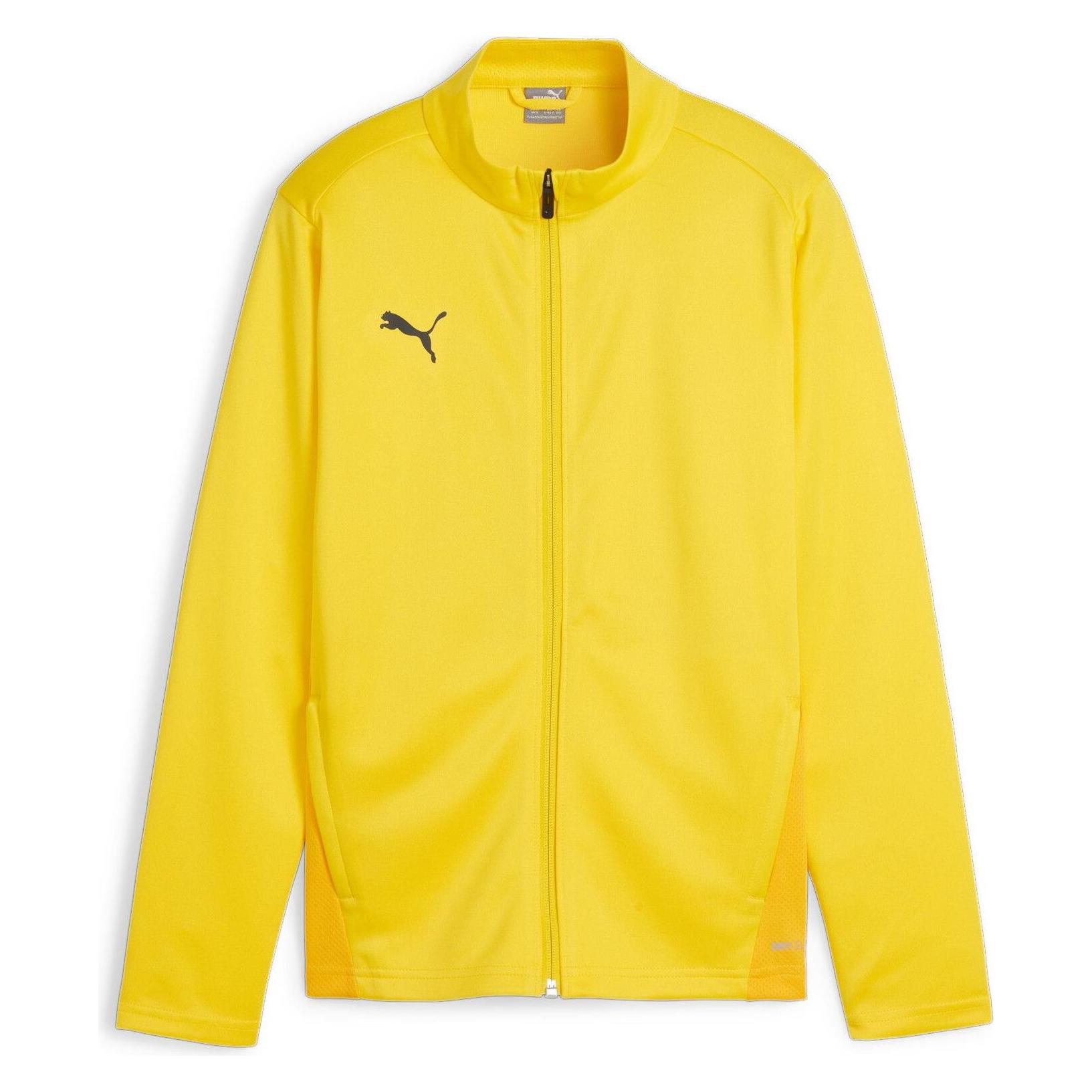 Puma teamGOAL Training Jacket Jr (152) (658634_07)