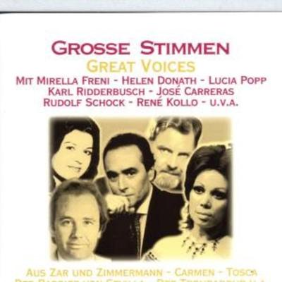 Grosse Stimmen/Great Voices - Various, CD