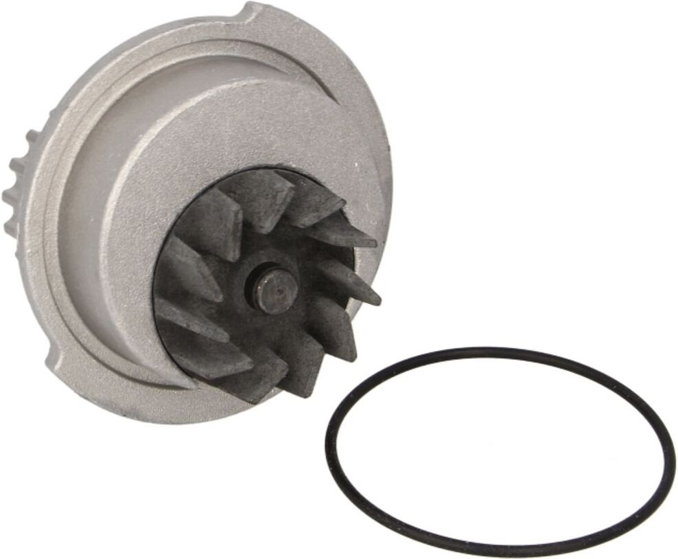 Hepu Pompa dell'acqua P795