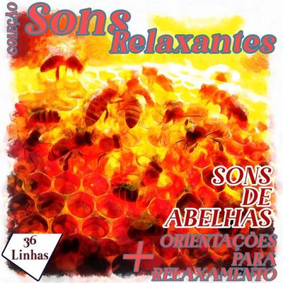 Coleção Sons Relaxantes - Sons de Abelhas - Silvia Strufaldi, Audio, 9798882300493