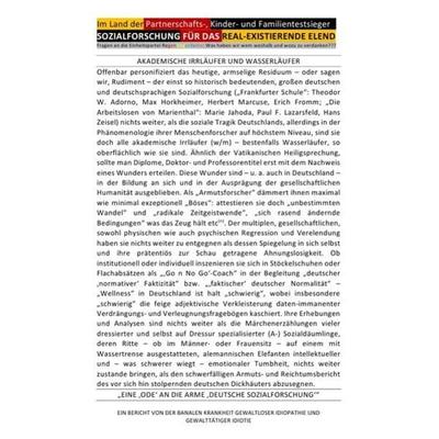 „SOZIALFORSCHUNG“ FÜR DAS REAL-EXISTIERENDE ELEND - Im Land der Partnerschafts-, Kinder- und Familientestsieger, Taschenbuch von Helmut Hansch,Amy