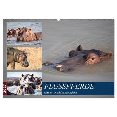 Hippos im südlichen Afrika (Wandkalender 2027 DIN A2 quer), CALVENDO Monatskalender