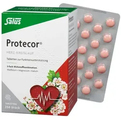 PROTECOR Herz-Kreislauf Tabl.z.Funktionsunt.Salus 250 St